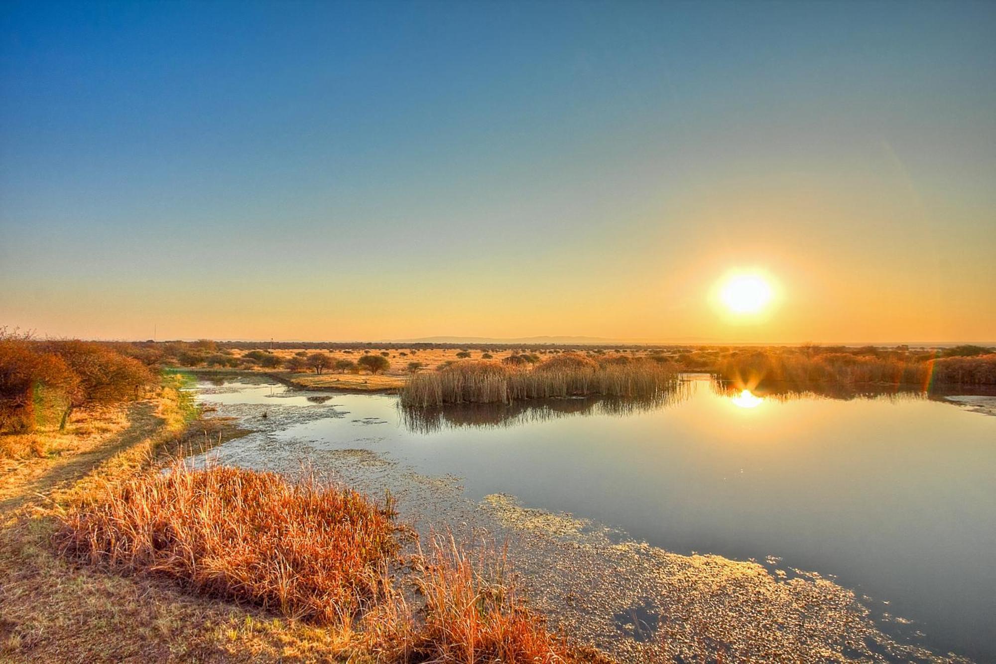 Ditholo Game Lodge Bela Bela Ngoại thất bức ảnh