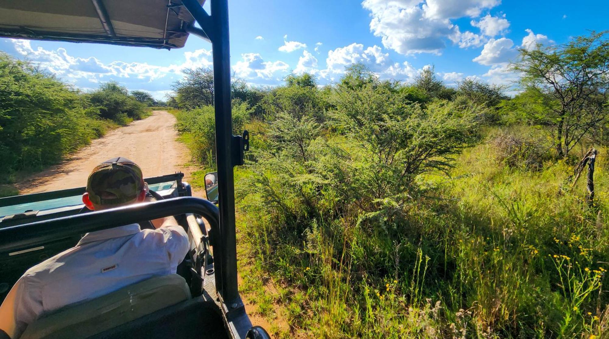 Ditholo Game Lodge Bela Bela Ngoại thất bức ảnh