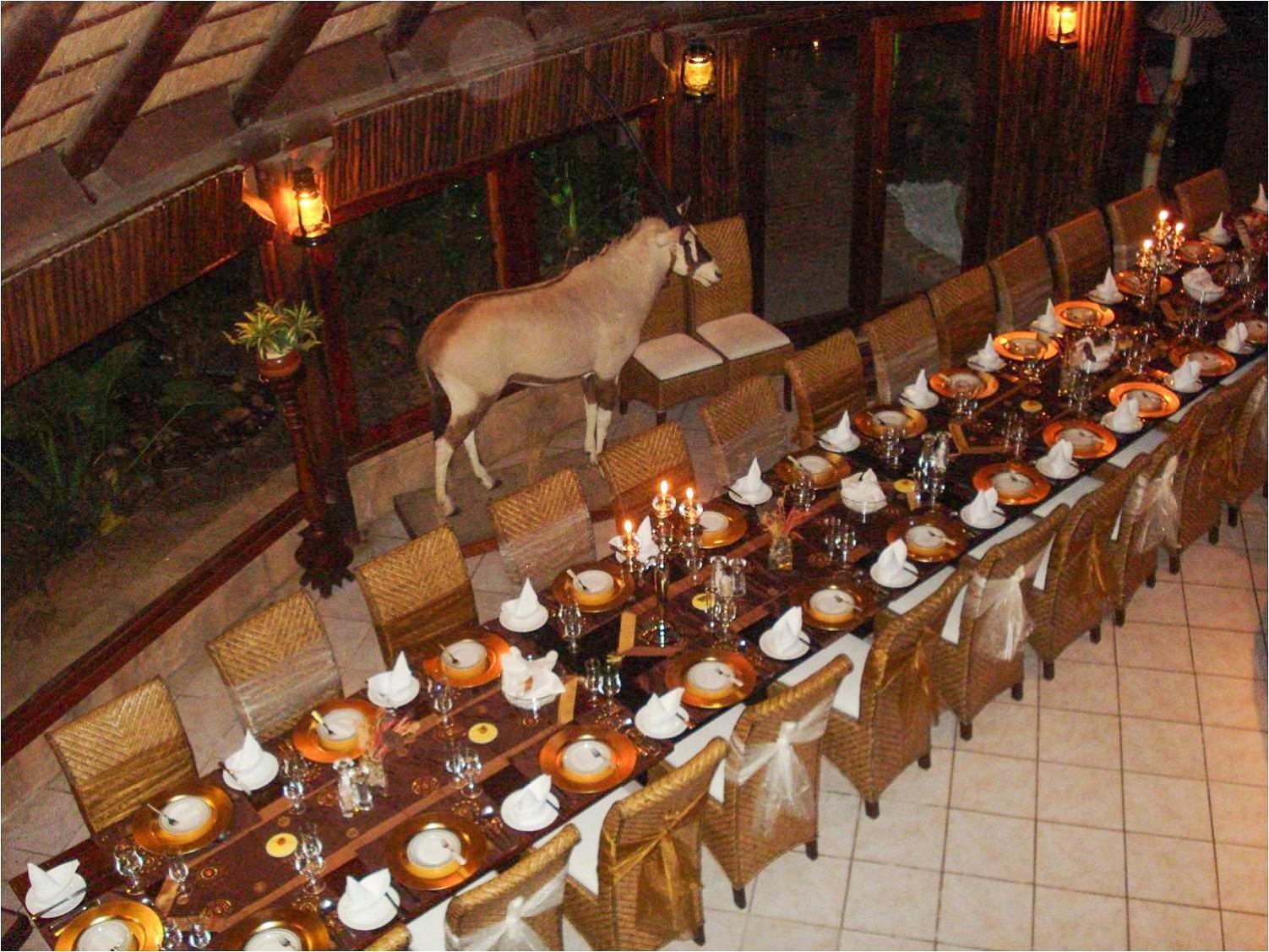 Ditholo Game Lodge Bela Bela Ngoại thất bức ảnh